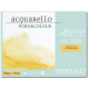 Blocco Artistico Traditional White 300gr grana fina 30,5X45,5