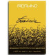Blocco Traccia A4 60gr - 120 fogli