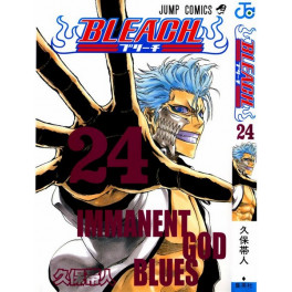 Bleach 24