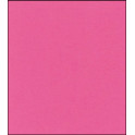 Cartoncino formato A4 rosa shopping