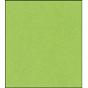 Cartoncino formato A4 verde prato