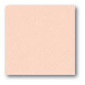 Cartoncino gr 160 cm. 30,3x30,3 - Rosa antico