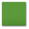 Cartoncino gr 160 cm. 30,3x30,3 - Verde prato